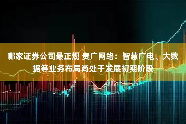 哪家证券公司最正规 贵广网络：智慧广电、大数据等业务布局尚处于发展初期阶段